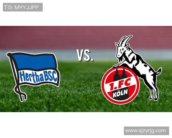 沙佩科与乌民族激战在即球迷期待精彩对决与精彩进球